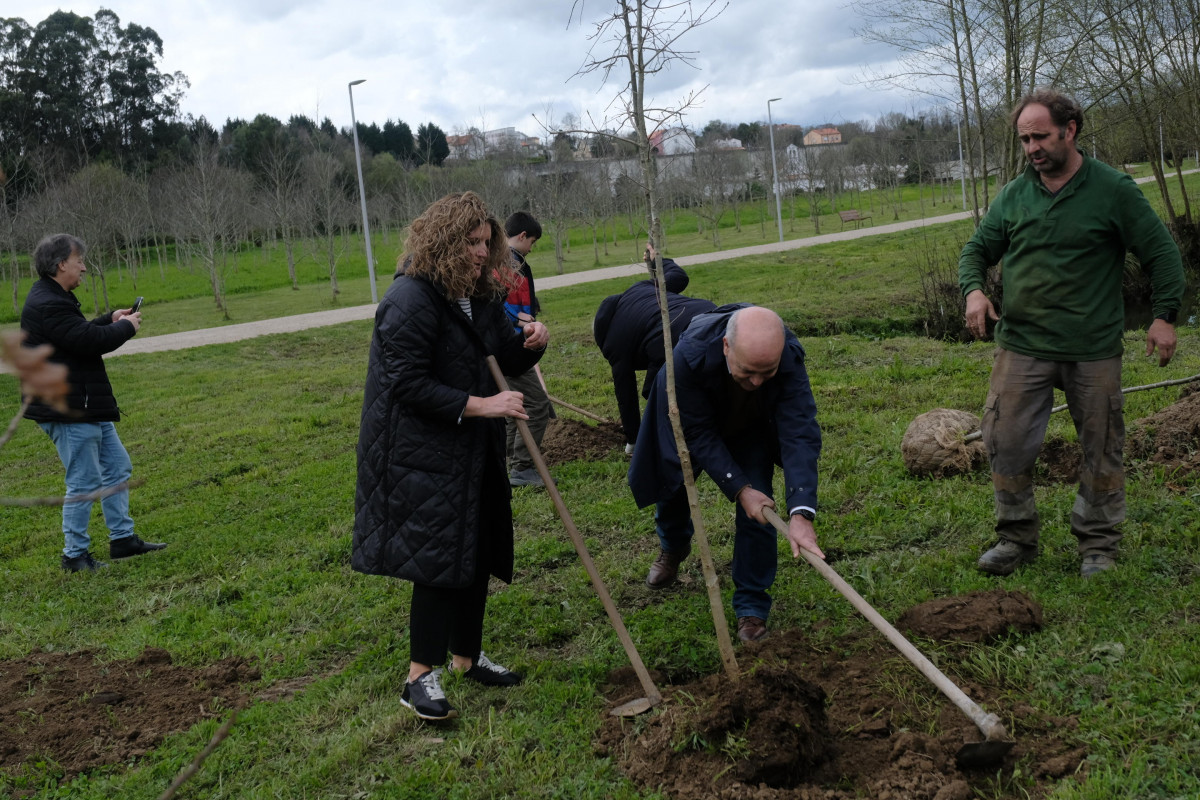 Plantacion arboles parque Freixeiro Naron 2