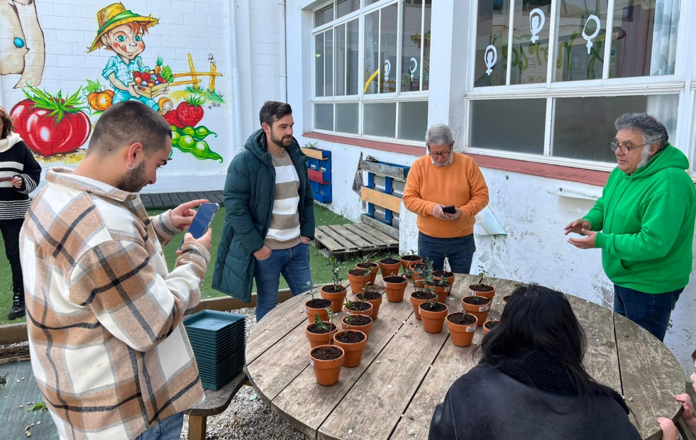 Cedeira entrega 25 acebos al Nicolás do Río por el Día do Naturalismo Galego