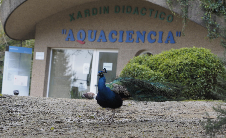 El resurgir de Aquaciencia, un parque didáctico en el pulmón verde de Ferrol