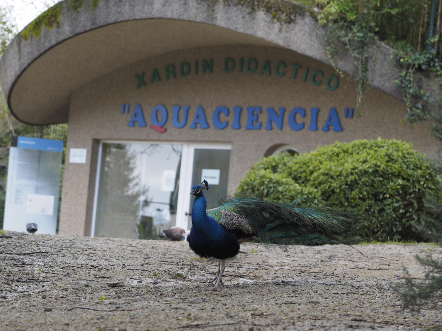 El resurgir de Aquaciencia, un parque didáctico en el pulmón verde de Ferrol