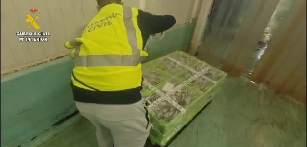 Incautados en el puerto de Ribeira 149 kilos de sardina comercializados y llevados a un almacén sin pasar por la lonja