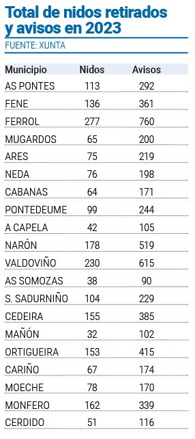 Nidos y avisos velutina 2023 comarcas ferrol eume ortegal