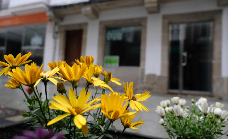 Ferrol se engalana para poder mostrar su mejor cara durante la Semana Santa