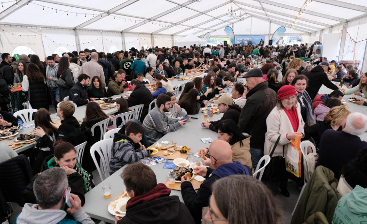 La Festa do Marisco del puerto de Ferrol se despide superando los resultados del año pasado