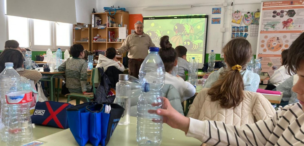 Escolares de Narón aprenden a combatir las velutinas elaborando trampas caseras