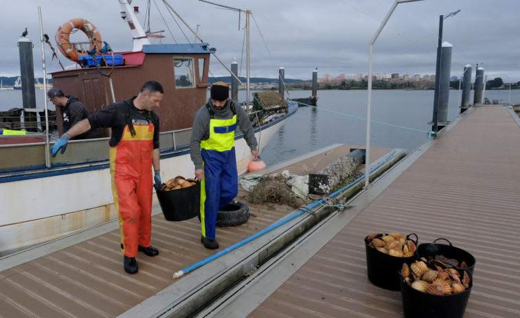 Las capturas conjuntas de los pósitos de la ría aumentan el primer trimestre