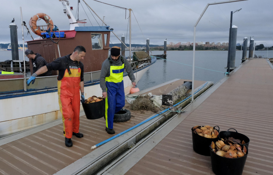 Las capturas conjuntas de los pósitos de la ría aumentan el primer trimestre