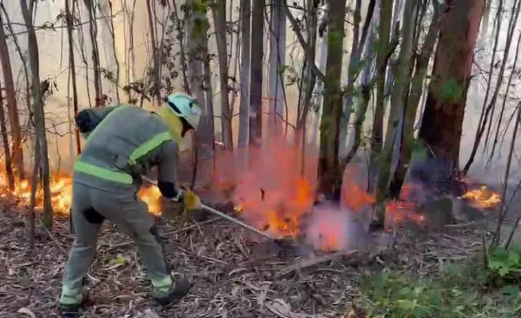 Dos incendios forestales en Fene y Cabanas arrasan con cerca de tres hectáreas de monte