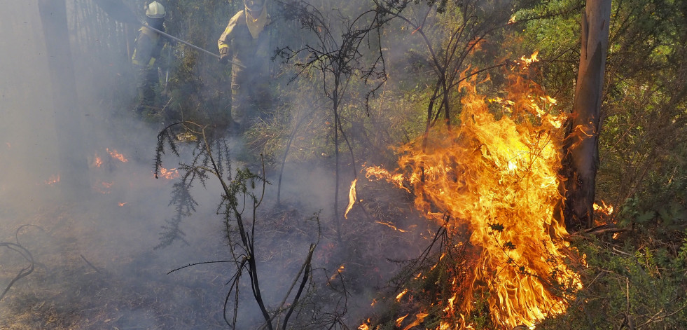 Incendios forestales en Magalofes y Fragas do Eume