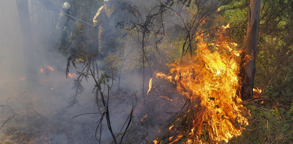 Incendio forestal en Magalofes Fene (11)