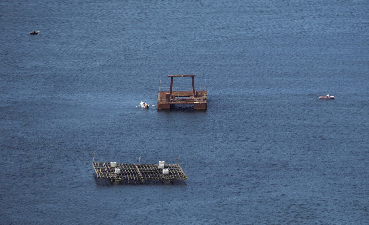 La batea de Ferrol depuró desde su puesta en marcha 676.000 kilos de bivalvos