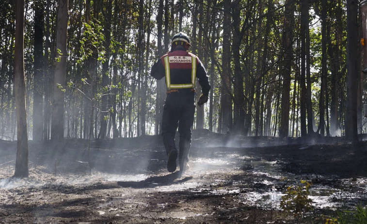 Extinguido el incendio forestal de Cabanas