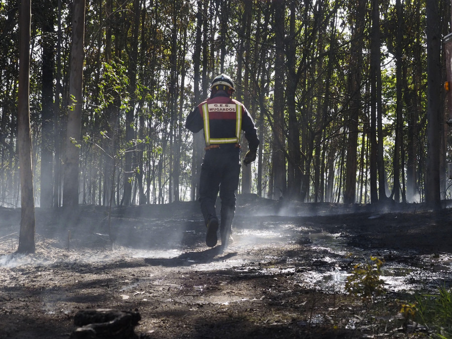 Extinguido el incendio forestal de Cabanas