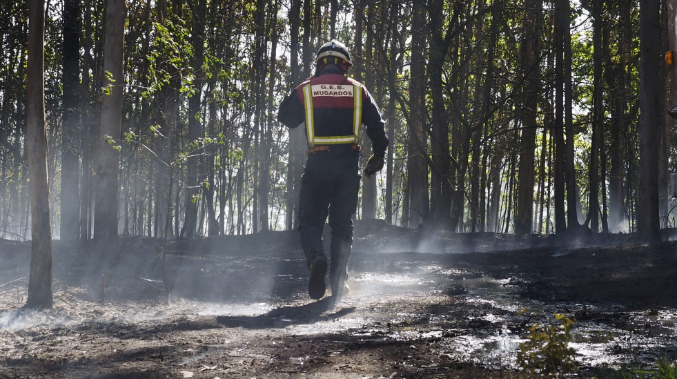 Extinguido el incendio forestal de Cabanas