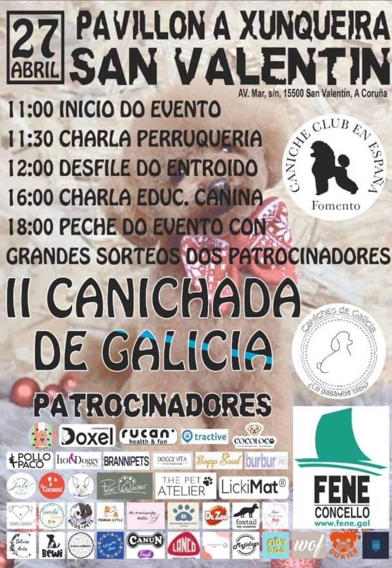 Cartaz canichada