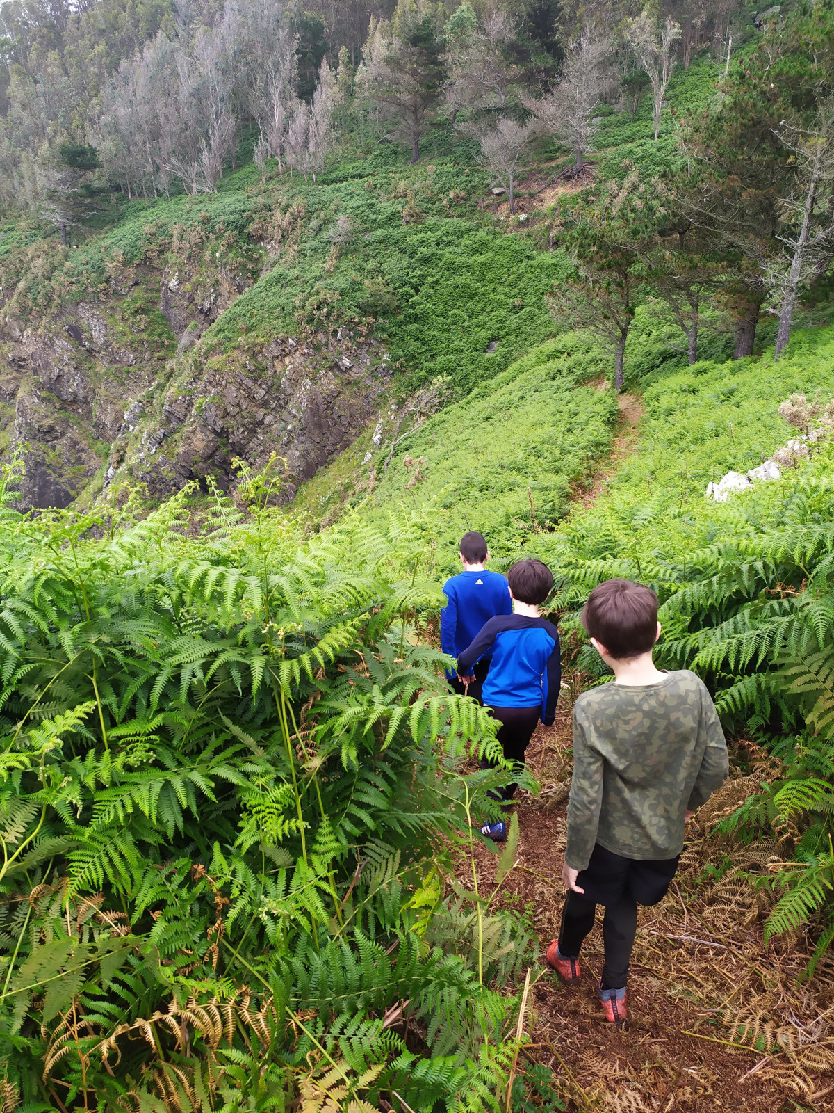 Excursiones escolares Cedeira Serra da Capelada2