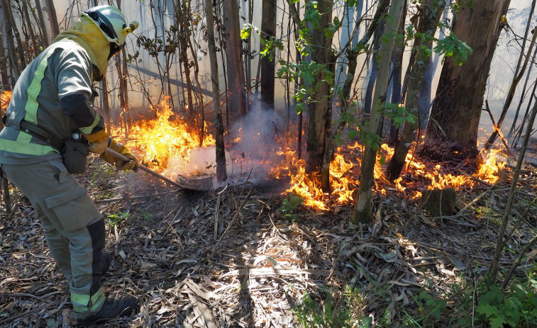 La Xunta apoya la contratación de personal para prevenir incendios en Ferrolterra