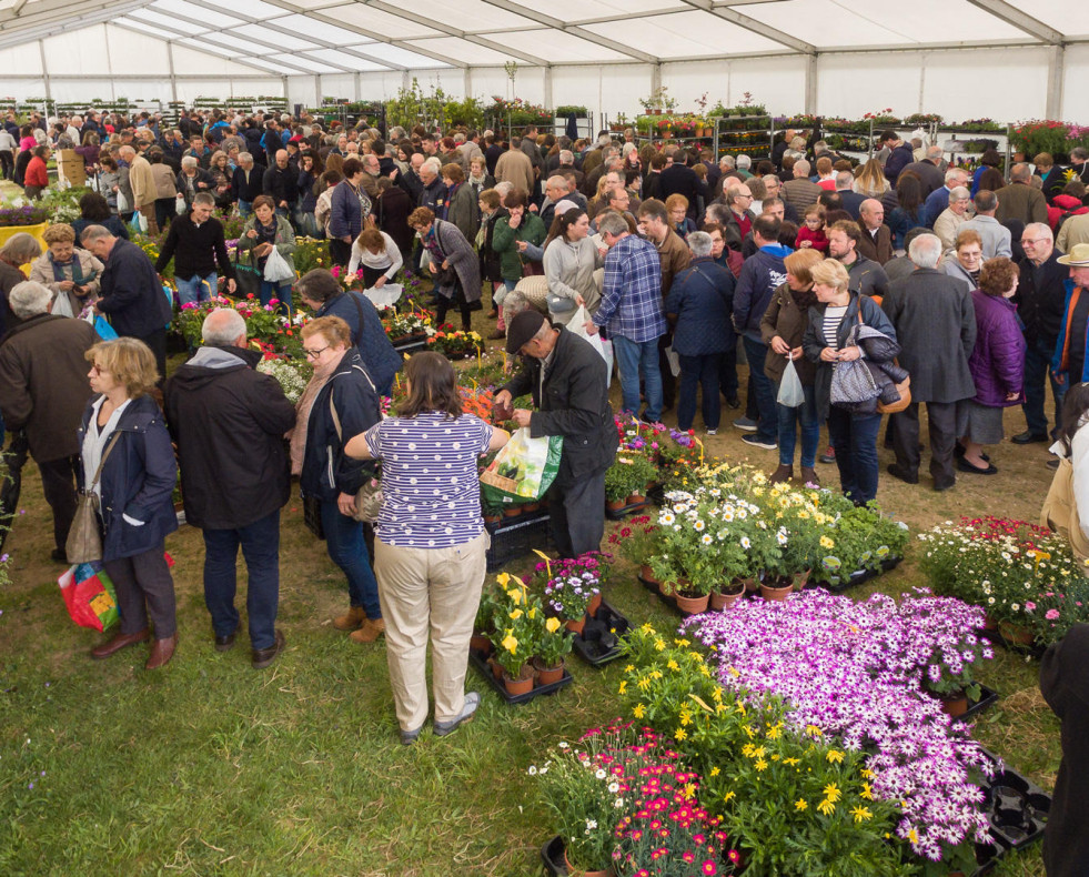 Feira da Plantación San Sadurniño1