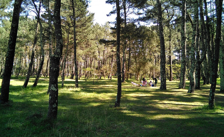 Segunda jornada sobre gestión forestal sostenible en el municipio de As Pontes