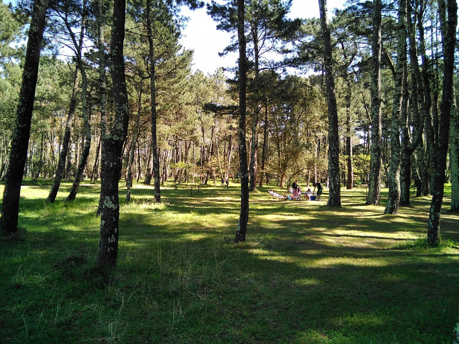 Segunda jornada sobre gestión forestal sostenible en el municipio de As Pontes