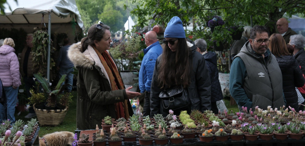 El tiempo acompañó para disfrutar de la Feira da Plantación de San Sadurniño