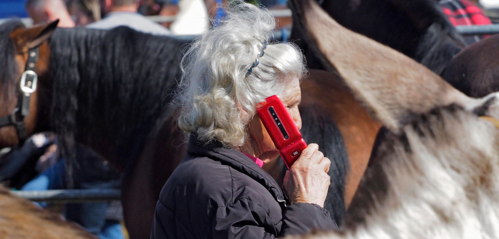 Cámara viajera en Moeche | La mujer que susurra a los caballos