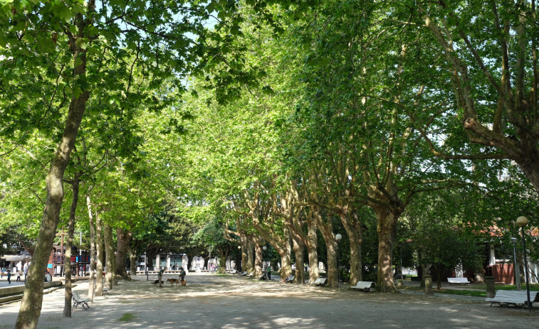 Ferrol traballará nun plan de infraestrutura “verde” para acadar unha cidade sostible