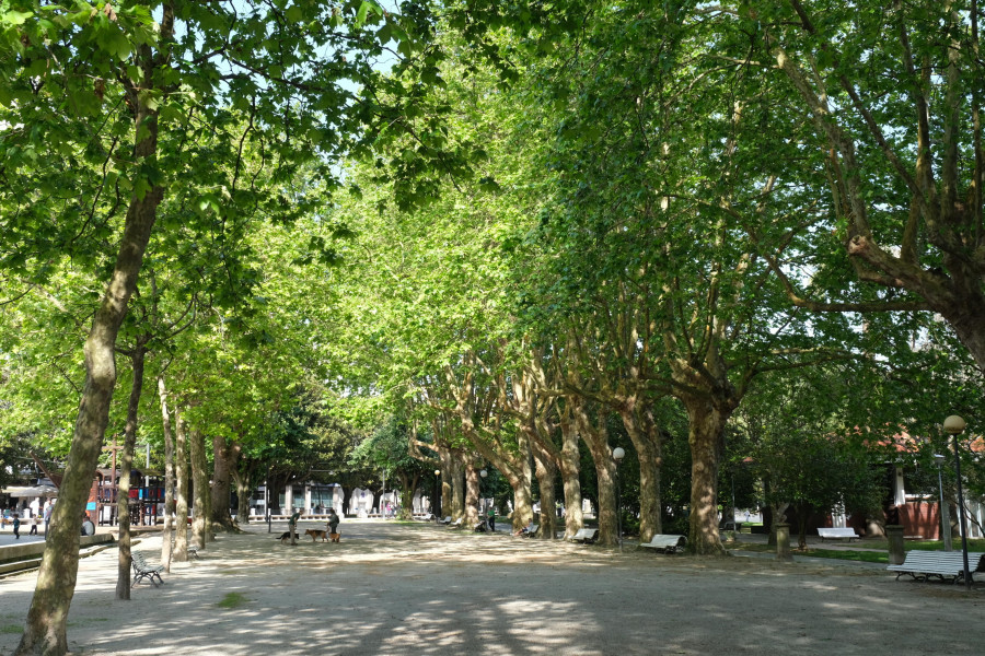 Ferrol traballará nun plan de infraestrutura “verde” para acadar unha cidade sostible