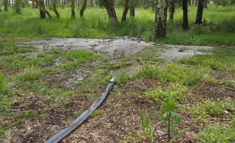 Preocupación vecinal por el vertido de aguas del alcantarillado al pinar de A Magdalena, en Cabanas