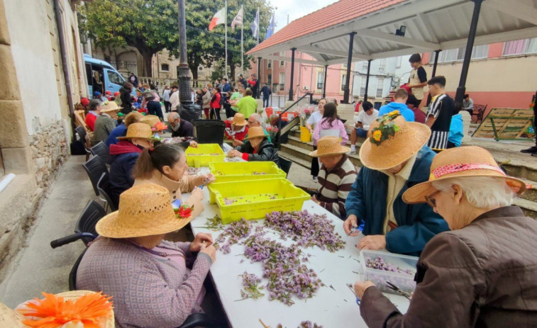Celebración intergeneracional en Ortigueira por la Festa dos Maios