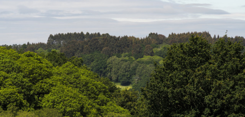 Galicia acogerá dos acciones piloto para crear corredores ecológicos