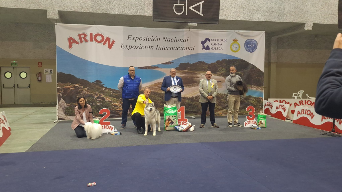Juan Gomariz Cerdido exposicion canina (1)
