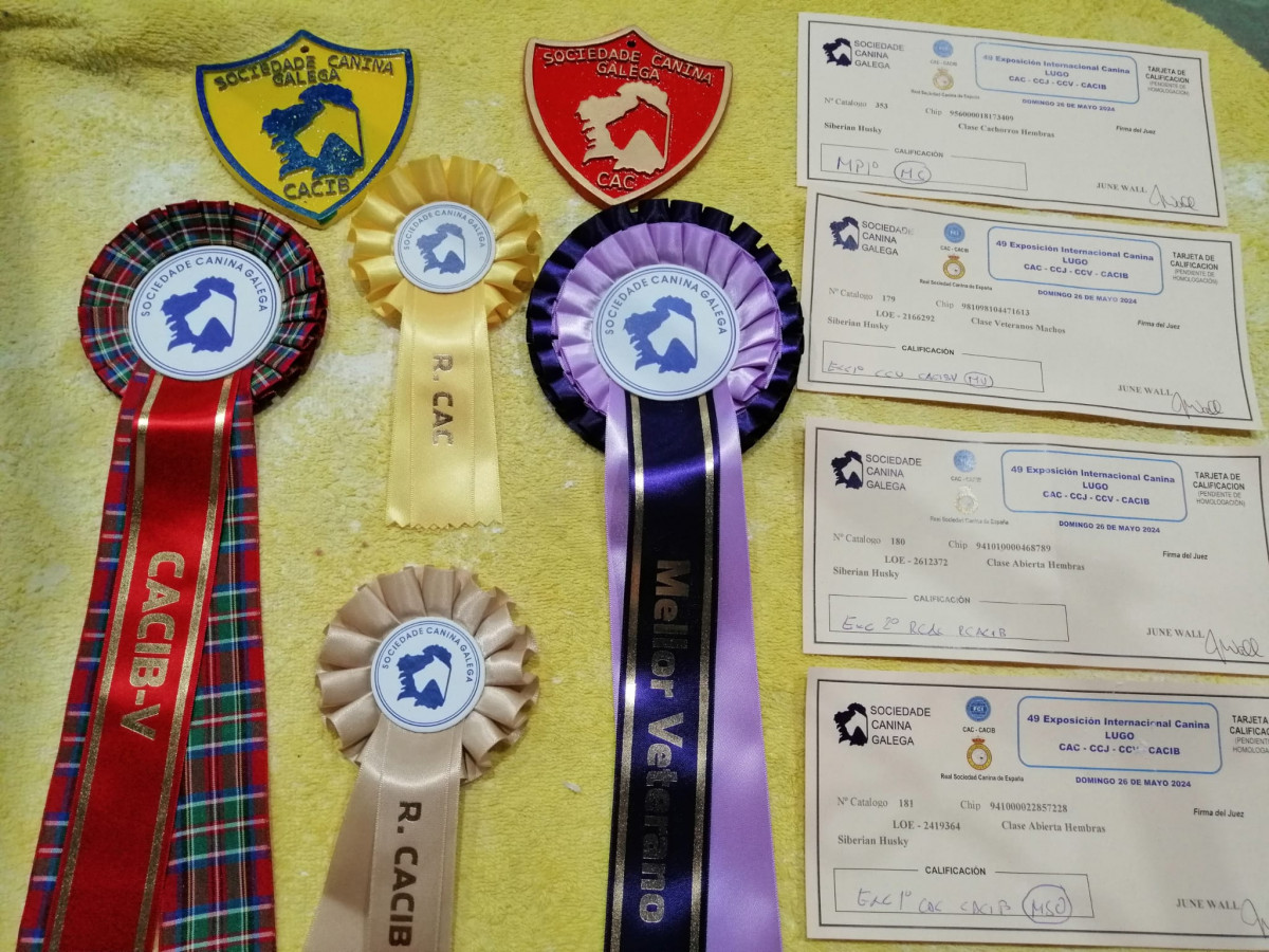 Juan Gomariz Cerdido exposicion canina6