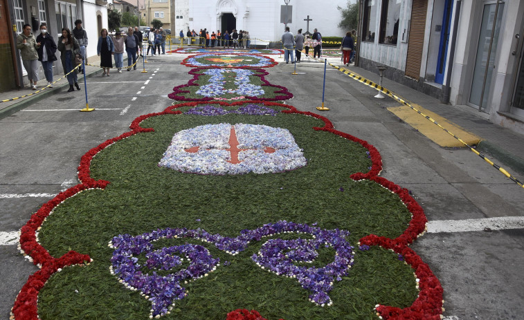 Flores, verde, arroz, cáscaras, serrín...comienzan a montarse las alfombras florales de Ares