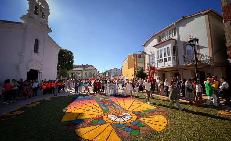 Alfombras florales de Ares