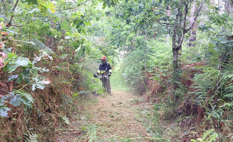 Fene trabaja en la recuperación de caminos y pistas forestales