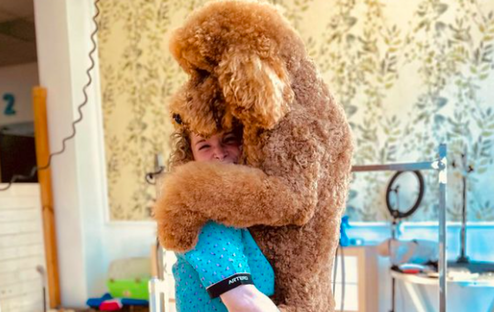 Báñame Tú: estilo y bienestar para tu mascota en Narón