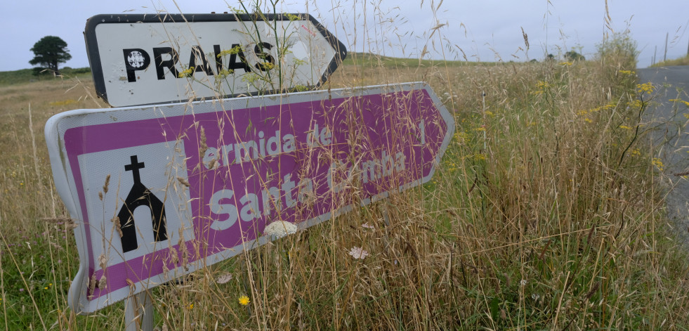 La maleza invade las cunetas en la zona rural de Ferrol