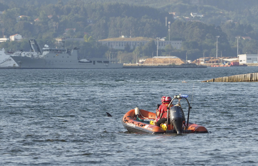 Devueltos al mar tres delfines varados en la ensenada do Baño, en el concello de Mugardos