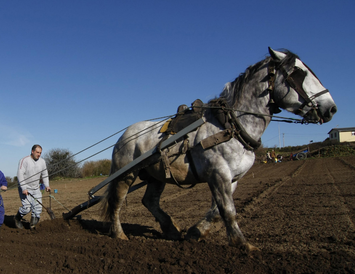 Agricultura Jorge Meis