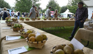 Agro e sostenibilidade foron da man na décimo quinta edición da Feira Rural de San Sadurniño