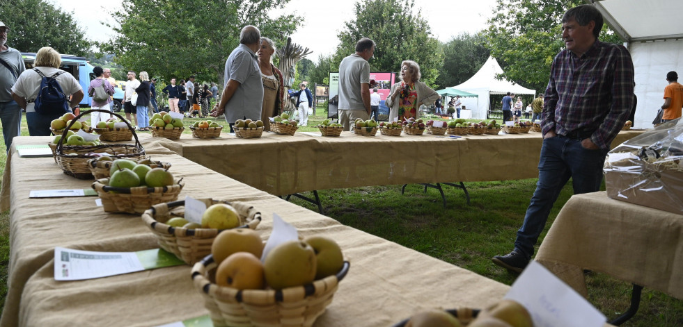 Agro e sostenibilidade foron da man na décimo quinta edición da Feira Rural de San Sadurniño