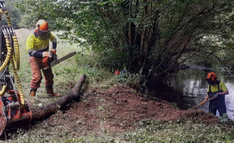 La Xunta realiza labores de conservación en el arroyo de Bañoca, en San Sadurniño