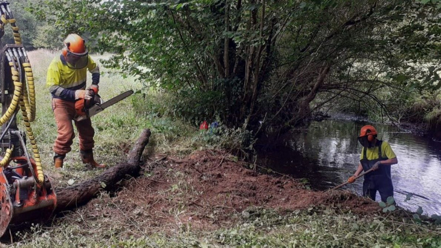La Xunta realiza labores de conservación en el arroyo de Bañoca, en San Sadurniño