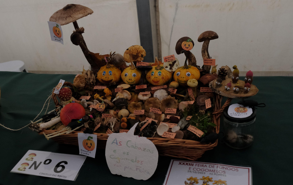Abiertas las inscripciones para el concurso de cestas de la Feira de Fungos e Cogomelos de As Pontes