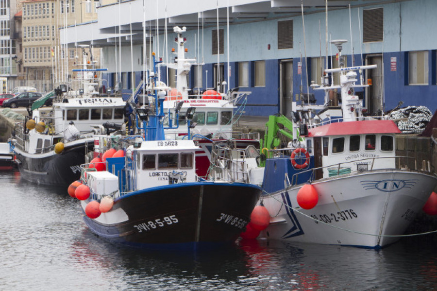 Abre la pesquería de caballa para flota de artes distintas al arrastre y cerco en A Coruña