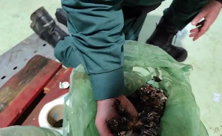 Tres percebeiros cedeireses investigados por presunto furtivismo en Xove