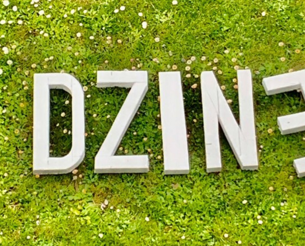 DzineSanSa