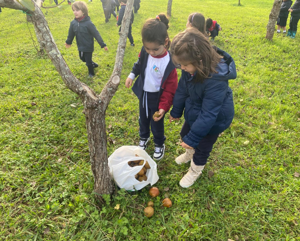 En la etapa de Educación Infantil se realizan actividades globalizadas