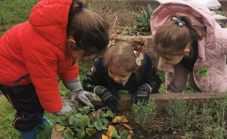 Conciliación y proyecto, las preferencias de los progenitores para elegir colegio en Ferrol